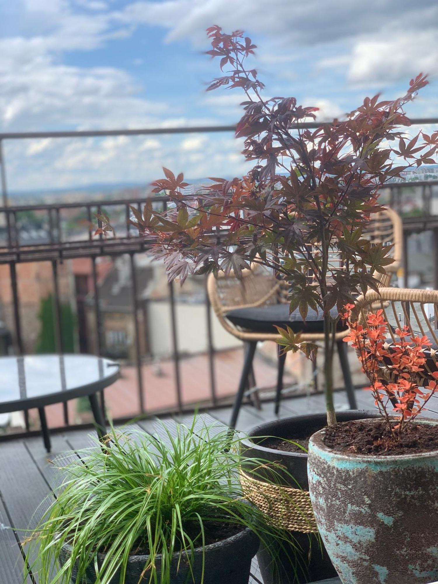 Loft21 Daire Krakow Dış mekan fotoğraf